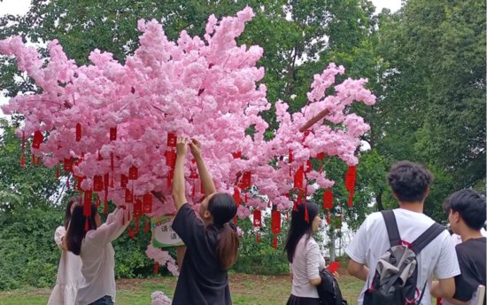 高校为毕业生打造“祝福树”成为网红打卡点