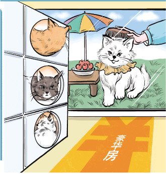 春节寄养一只猫竟要上万元？
