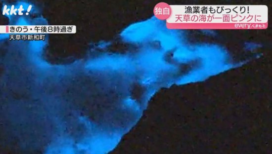 日本一处海域呈现<em>神秘</em>颜色：傍晚粉红色 夜间变荧光蓝