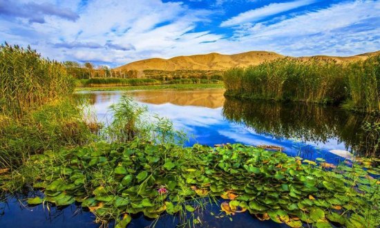 新疆一小众5A景区，景色绝美宛如仙境，美丽神器知名度却低