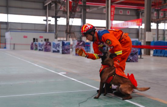 <em>江西哪个</em>市的消防搜救犬最厉害？结果出来了