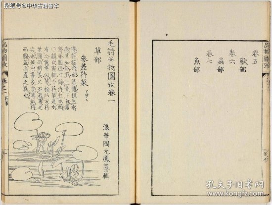 毛诗品物图考：18世纪日本汉学家图解《诗经》名物之作