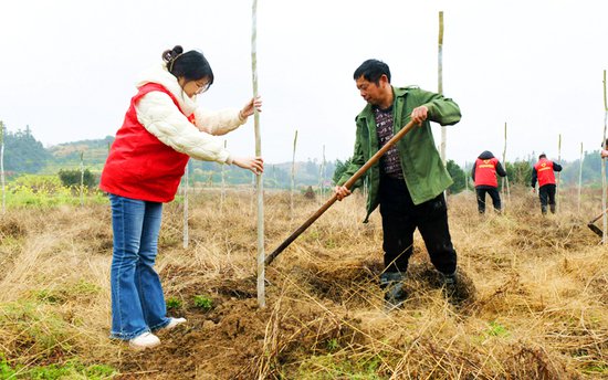 江西南丰：“百村千树”助力乡村生态振兴