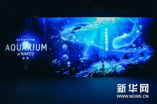 “寻梦<em>海底两万里</em> 深海之光”沉浸式艺术展在京开幕