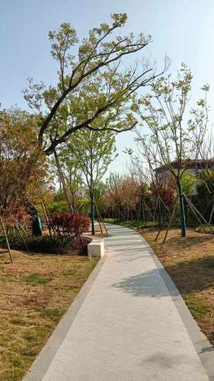 打卡2023年上海新建口袋公园，从这些地方开始