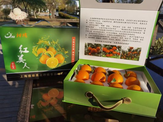 弃商从农，他立志种出全<em>上海最好</em>吃的橘子！