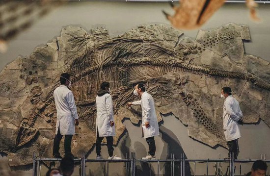 国家海洋博物<em>馆</em>首次公开修复<em>鱼</em>龙化石全过程