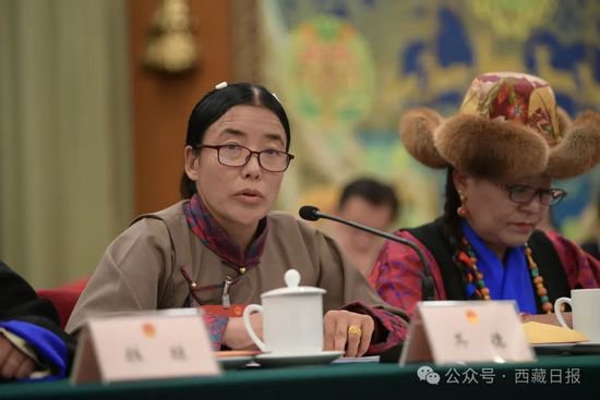 一问一答彰显自信！西藏代表团开放团组活动直击