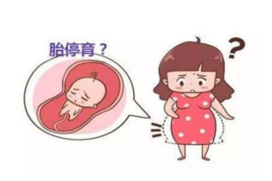 关于胎停3个知识点，孕妈们都要了解，才能更好避免胎停！