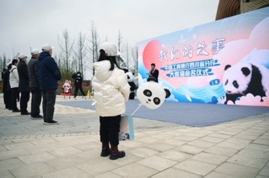 “工喜”来啦！工行四川省分行认养大熊猫大名揭晓