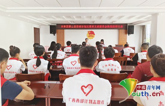 蒙山县召开西部计划志愿者团支部换届选举大会