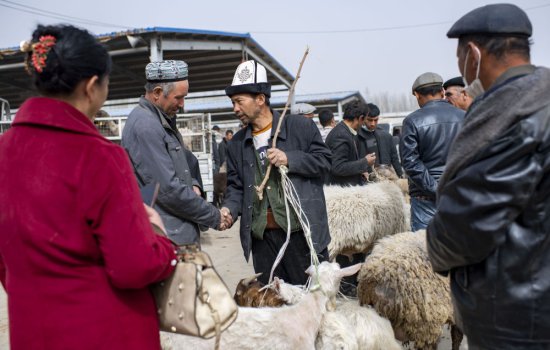 强信心·开新局|新疆莎车：<em>牛羊</em>巴扎里的乡村振兴新图景