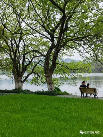 西湖美景三月天(2022-03-27)