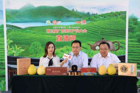 第三届广东茶叶产业大会在梅州大埔举行