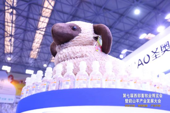 第七届西部畜牧业博览会暨奶山羊产业发展大会今日在杨凌开幕