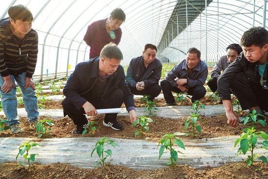 山西长子县开展农业技术培训