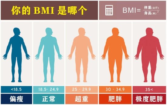 中国团队揭示，瘦子并非运动更多，只是不<em>容易</em>饿且代谢率高