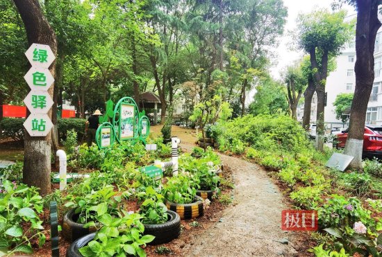 社区闲置地变身小<em>花园</em>，洪山全年打造10个绿色驿站