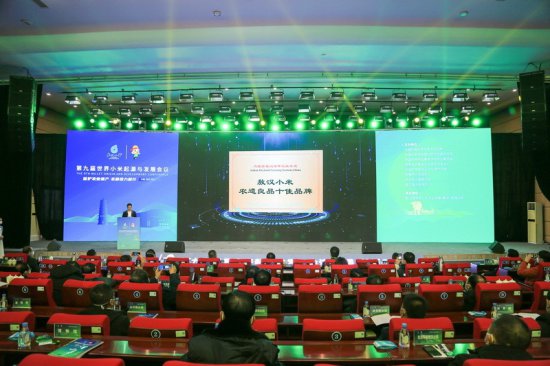 第九届世界小米<em>起源与发展</em>会议在内蒙古敖汉旗召开