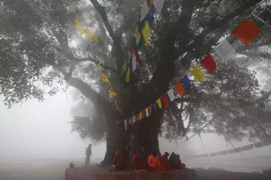 尼泊尔｜幸福国度，心灵之地