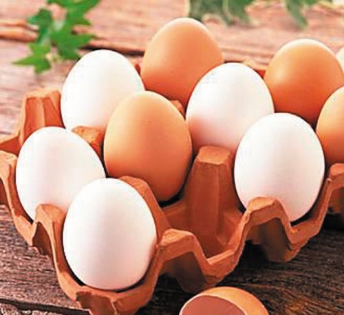 健康养生：你<em>适合</em>吃哪种蛋