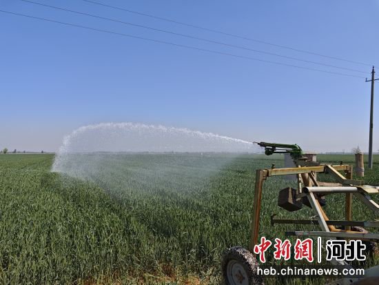河北冀州：“<em>移动式</em>”节水喷灌新技术铺就小麦“丰收路”
