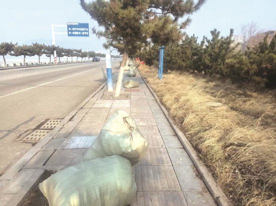 民意通·回音壁 | 芝罘区西海岸路边塑料垃圾清理了 街道办：将加大...