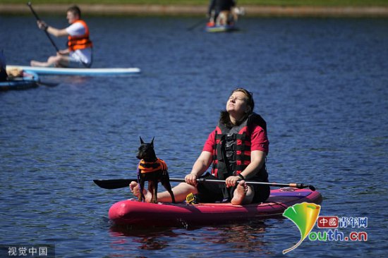 俄罗斯圣彼得堡举行“<em>宠物狗</em>SUP桨板游泳”比赛