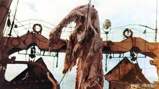 马来海滩发现<em>未知生物</em>尸体，日本渔船也曾发现过，怀疑是“恐龙...