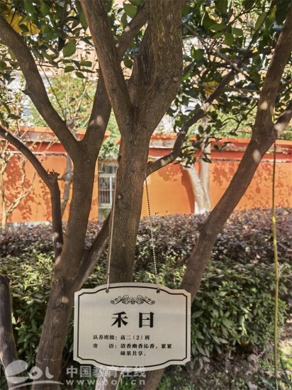 高二每班认养一棵树 还取了特别的<em>名字 杭</em>九中今年的香泡创艺文化...