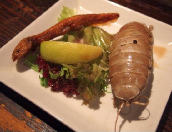 日本暗黑<em>餐厅专用</em>生猛食材 含鳄鱼爪和食人鱼