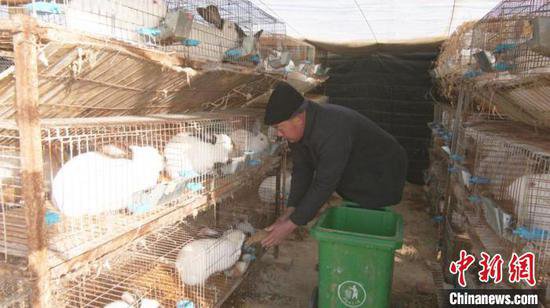 新疆兵团：肉兔养殖“蹦”上致富路