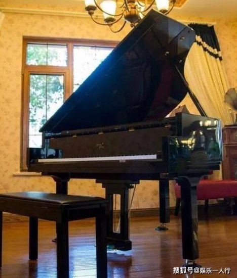 晒晒郎朗生活中的家，客厅用名贵钢琴当<em>装饰</em>，也只有他能这样做...