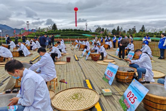 达州市首届“巴山青”茶文化节上，乐山市代表队喜获手工采茶...