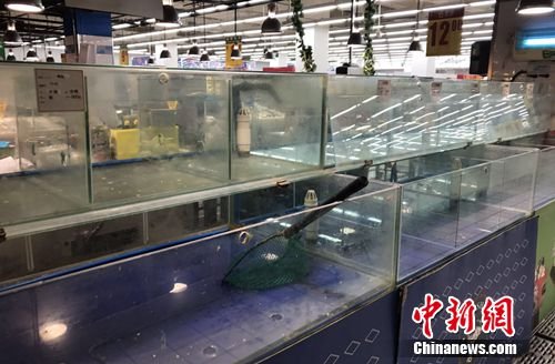 官方检查12省市水产品 北京部分<em>超市</em>未见有活鱼卖