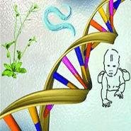 <em>基因检测</em>技术在国内外的发展历程和意义！