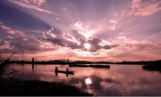 崇明西沙、苏州<em>太湖</em>、杭州西溪……长三角71个国家级湿地公园...