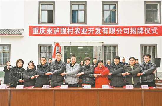 川渝成立全国首个跨省市农村集体经济组织