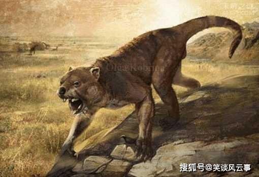 凶猛巨兽袋狮的灭绝<em>之谜</em>，曾在澳洲称雄，是动物中的刽子手