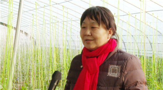 河南濮阳范县打开蔬菜种产销快速路