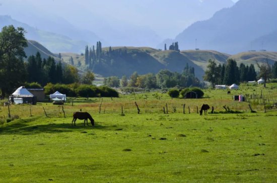 新疆伊犁有个地方，风景秀丽牛羊成群，游客不多宛如世外桃源
