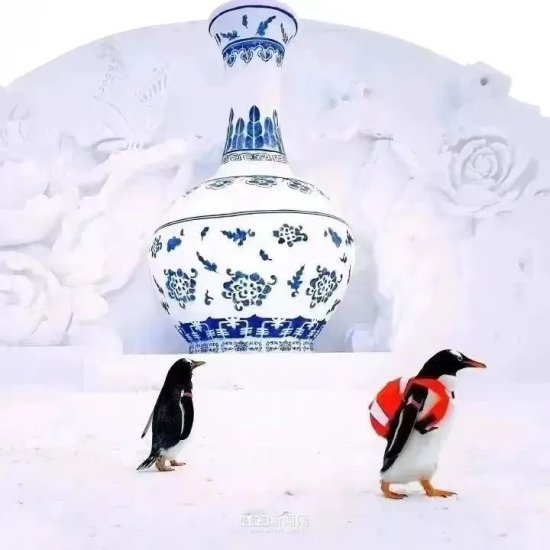 今日，在太阳岛雪博和“淘学企鹅”一起和冬雪说再见