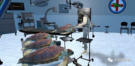 虚拟现实模拟技术让人类以海龟的视角观察世界，从而塑造<em>人们</em>的...