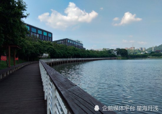 广州天河大观湿地公园游记：随缘出行，满载而归