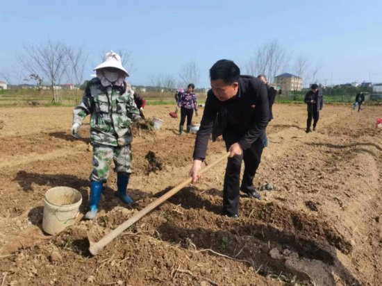 湖南湘乡：“银发人才”引领致富路 助力乡村振兴产业旺