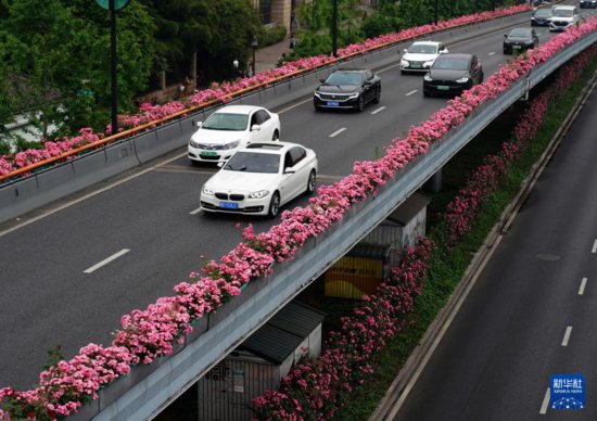 杭州：“空中花廊”扮靓高架路