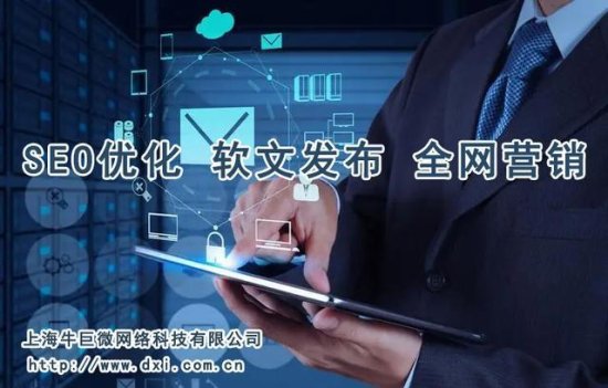 网络推广-计算机科技-上海牛巨微