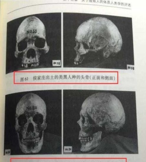 殷墟<em>出土</em>大量黑人头骨，学者研究完感慨：妇好拯救了中华民族！