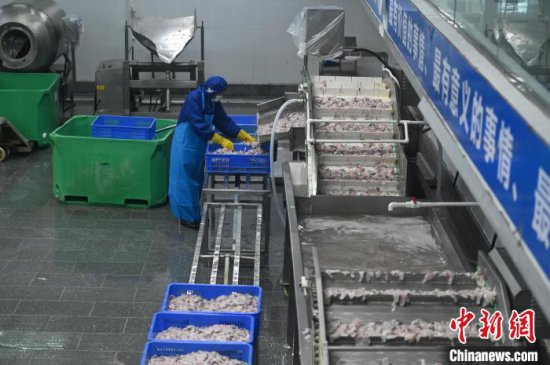 “中国水产预制菜之都”加速让新鲜水产“游”向海外