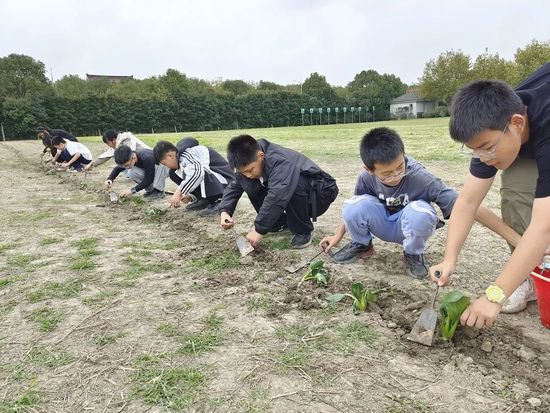 如东县实验中学开展“趣野，听秋天的声音”劳动教育实践活动
